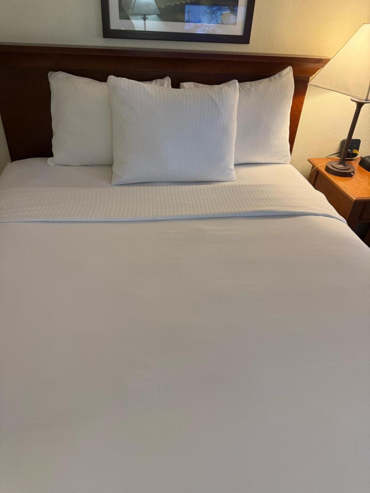 La Quinta By Wyndham Stamford / New York City Eksteriør bilde